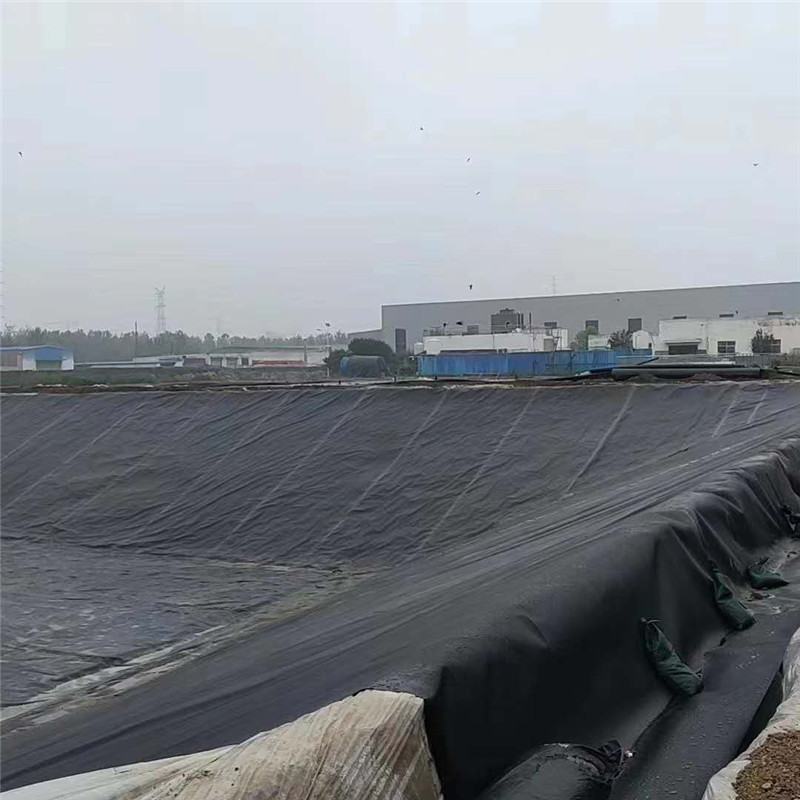 沼气池黑膜与猪场氧化塘防渗土工膜的应用与优势